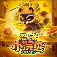 忍者小浣熊